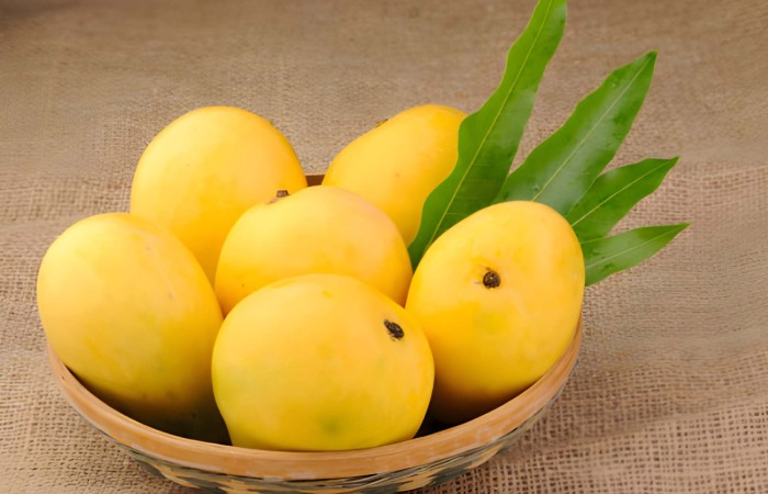 Mango