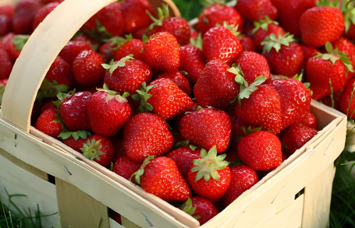 Strawberries